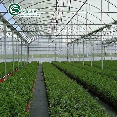 Ventilatieopeningen voor optimale groei van tomaten en andere groenten in de kas